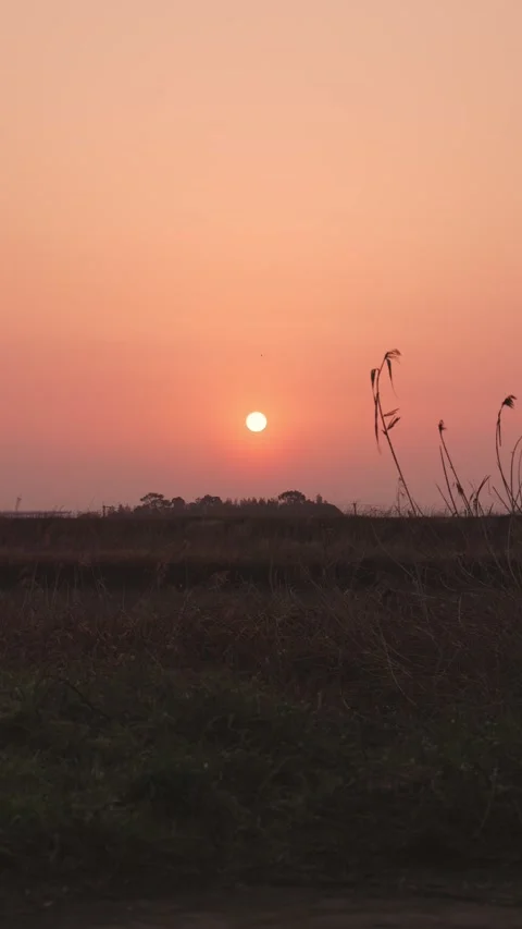 Vertical-Beautiful Red Sunrise over Rural Field Vídeos de archivo 331677184