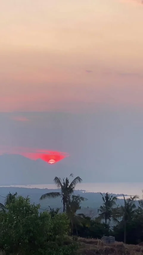 Vertical Beautiful Sunset Over Ocean with Silhouette of Palm Trees in Bali Stock Footage 335196704