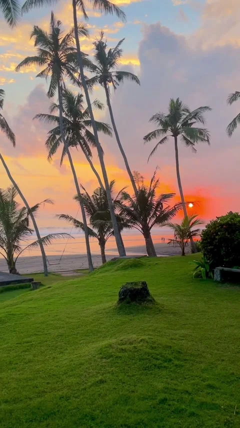 Vertical Beautiful Tropical Beach Sunset with Coconut Trees Stock Footage 335148387