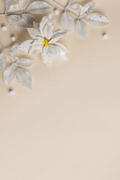 Vertical beige Christmas background with white poinsettia and glitter folia.. Stock Photos