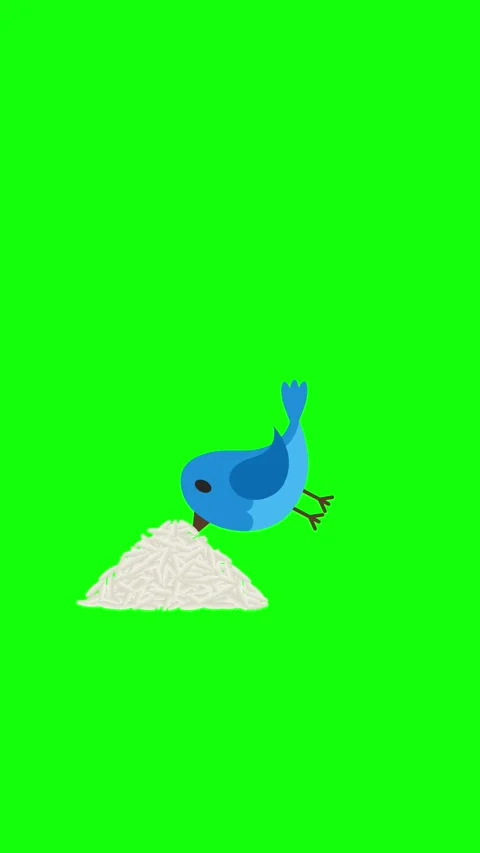 Vertical Bird Green Screen Video Stock Footage 321037893