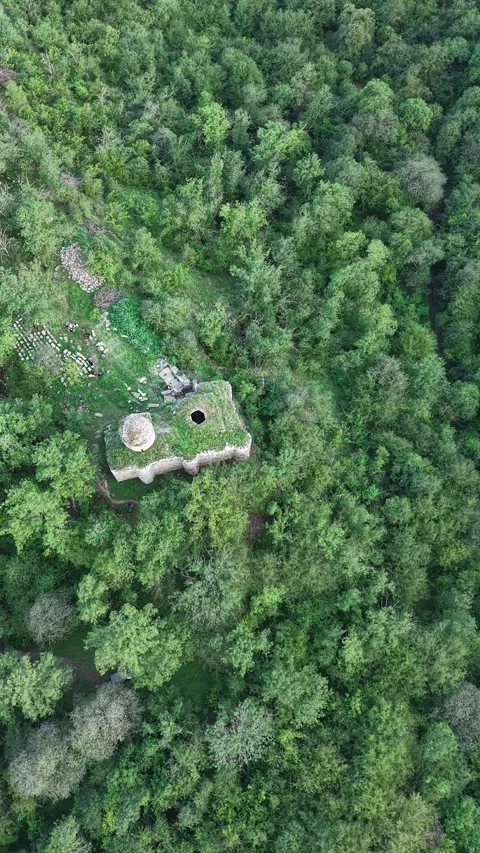 Vertical Bird's-Eye Drone View of Arakelots Monastery Hidden Among Forest Trees. 库存影片 342076696