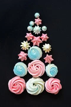 Vertical, black background, centered tree Фото