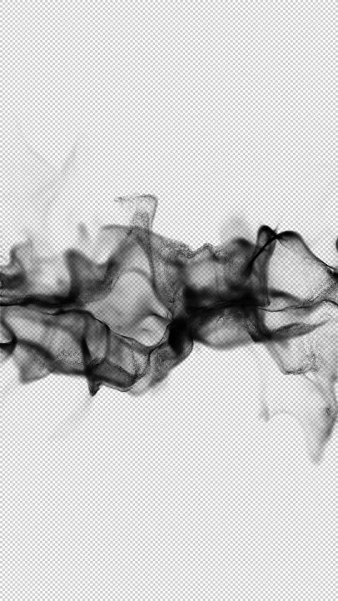 Vertical Black Ink Smoke Collision With Transparency Stock-Footage 344973182