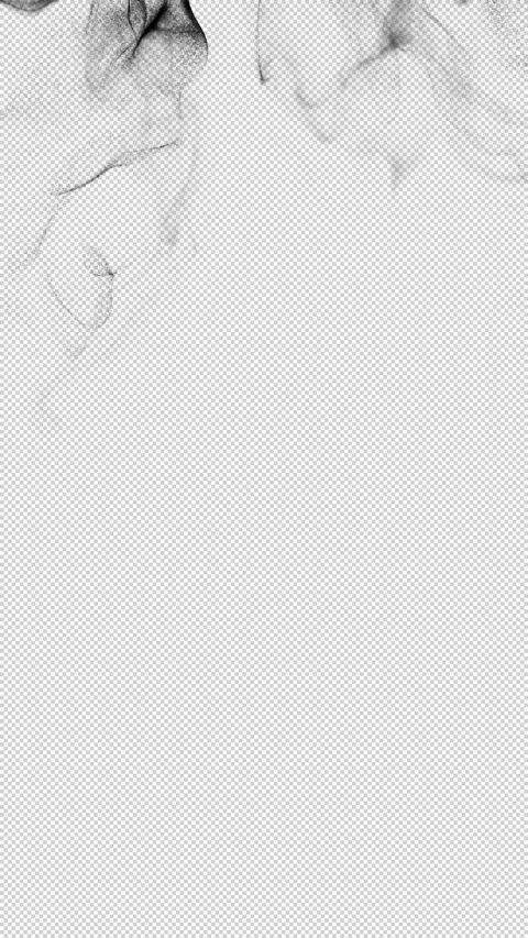 Vertical Black Ink Wave Isolated With Transparency Stock-Footage 344973749