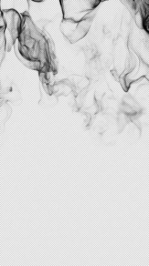 Vertical Black Smoke Transition on Transparent Background Stock-Footage 344974001