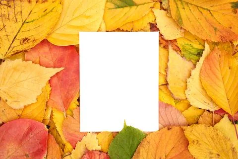 Vertical blank sheet partially covered from below lies against the background of Foto stock