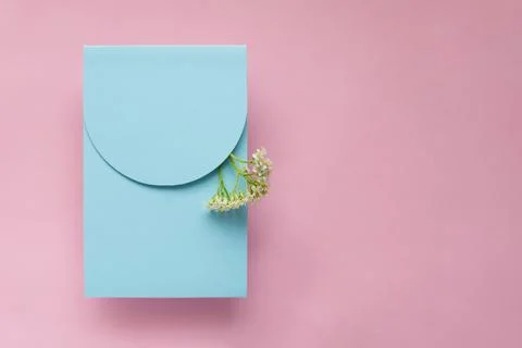 Vertical blue envelope white flowers on a pink background Stock Photos