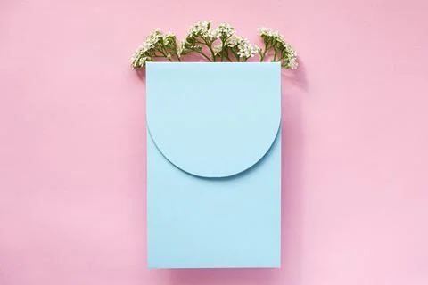 Vertical blue envelope white flowers on a pink background Stock Photos