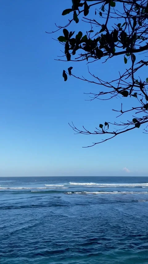 Vertical Blue Ocean and Sky with Tree Silhouette in Bali Stock Footage 337336215