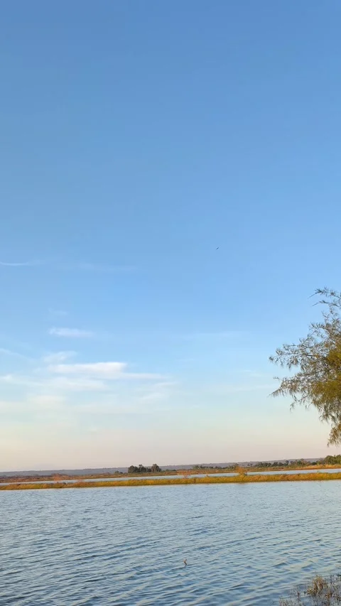 Vertical Blue Sky Over Calm Lake Water at Golden Hour Nature View Stock Footage 340489922