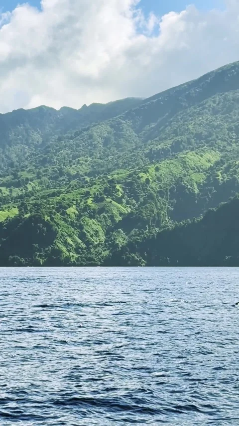 Vertical boat view of wild encounter of dolphins leaping in deep blue Caribbean Видео 333202095