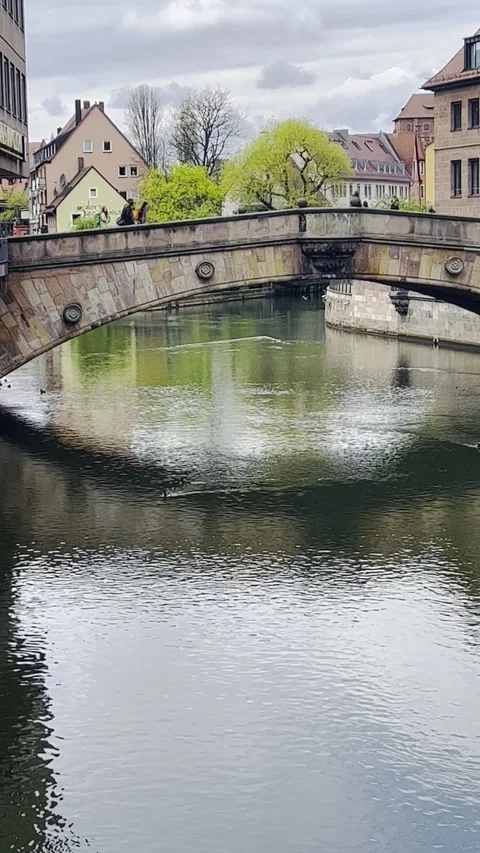 Vertical bridge shadow reflection n colorful building on water with wild ducks Stock Footage 317359739