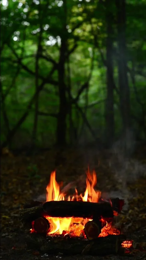 Vertical bright campfire burning with vibrant orange woods flame Stock Footage 345716490