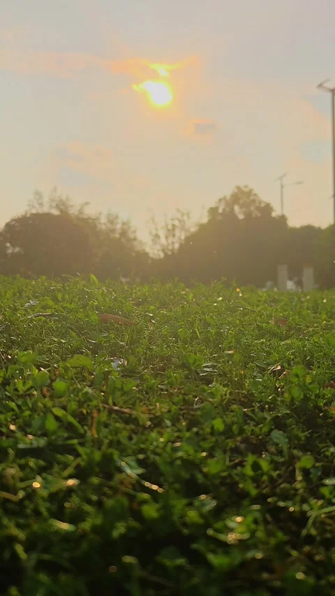Vertical bright sunny weather while rain keeps falling down. Stock-Footage 339409303