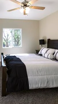 Vertical Bright window with trees outside the master Stock Photos