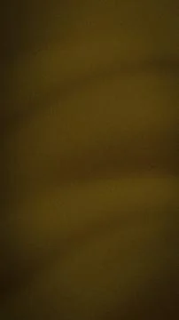 Vertical brown dark brown black grainy gradient background with soft blur t.. Stock Illustration