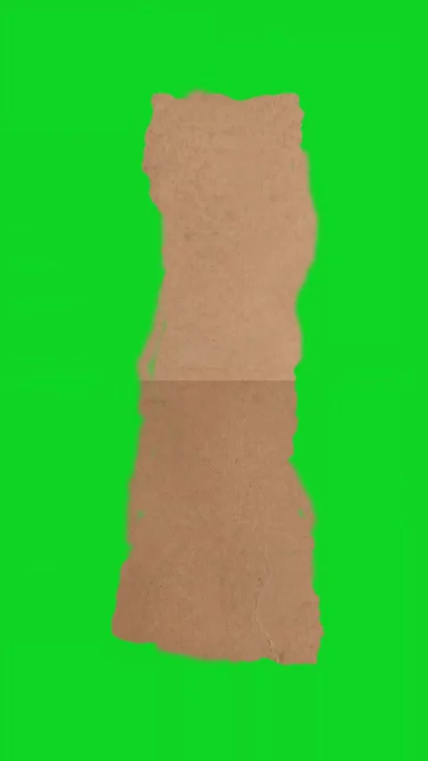 Vertical brown torn craft paper strip flat rip revealing animated on green Stock Footage 335216983