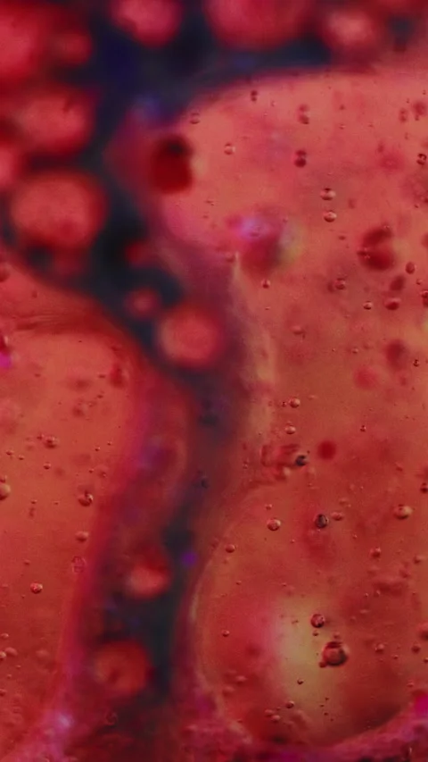 Vertical Bubble fluid oil texture paint water drop red pink Vídeos de archivo 274624493