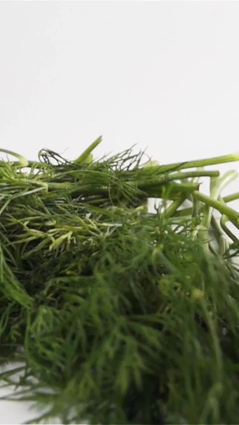 Vertical of A Bunch of dill falls on a white surface Stock Footage 305514466