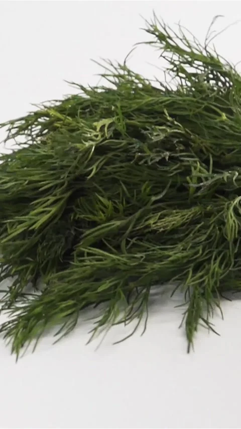 Vertical of Bundle of dill falling down on white surface Stock Footage 305514527