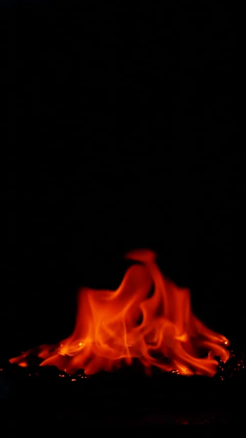 Vertical burning fire flame on ground isolated on black background, slow motion Stock Footage 313319365