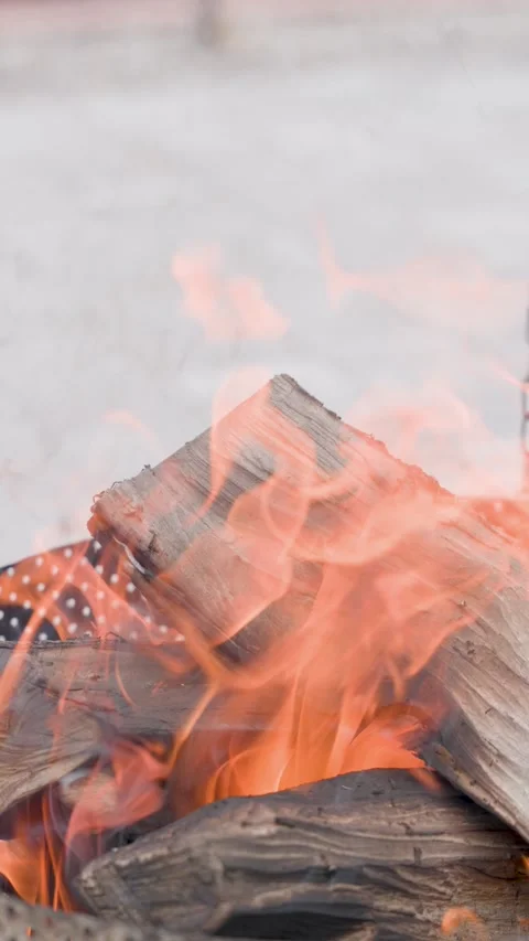 Vertical burning firewood close up for fireplace background with glowing flames Stock Footage 337042658
