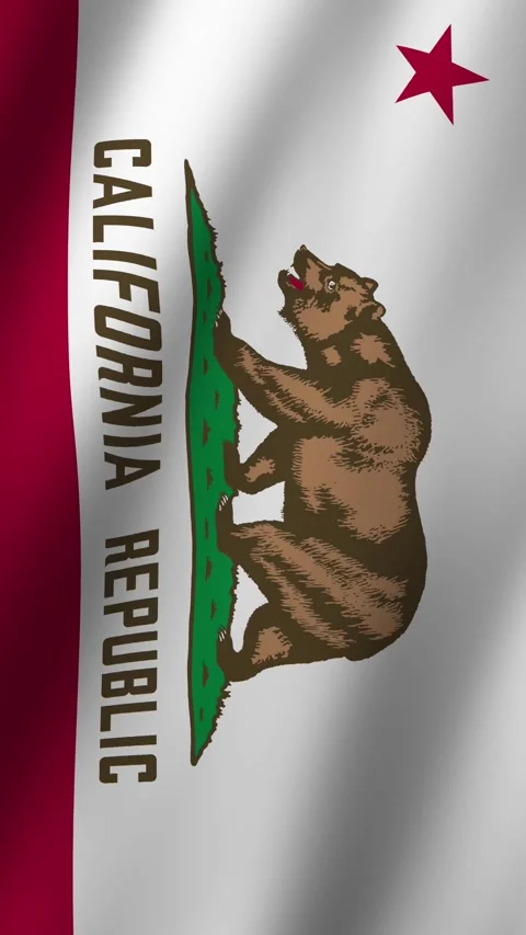 Vertical California Flag Animated 4k video Stock-Footage 296657230