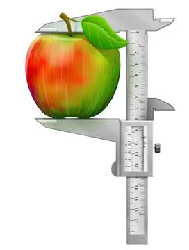 Vertical caliper measures apple fruit Stock Illustration