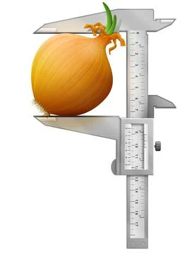 Vertical caliper measures common onion Illustrazione stock