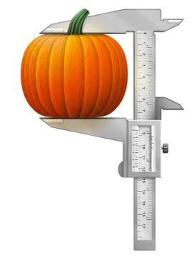 Vertical caliper measures pumpkin fruit Stock Illustration