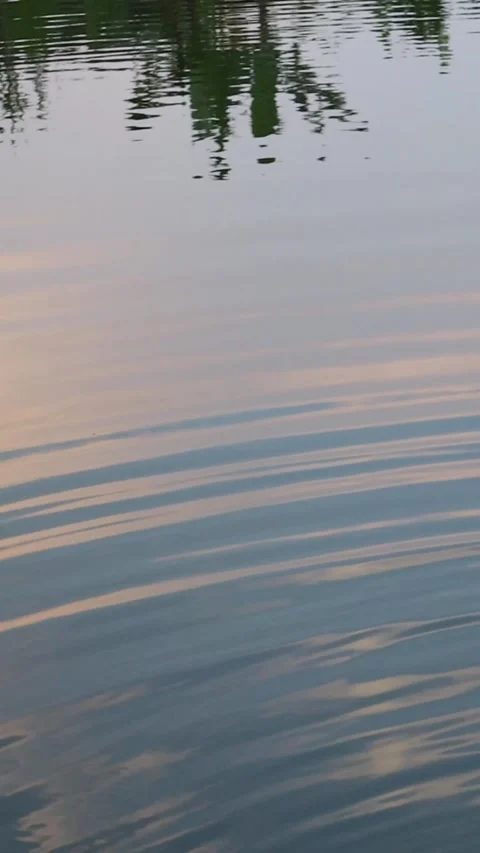 Vertical calm lake ripples with tree reflection, West Java, Indonesia Stock Footage 342095595