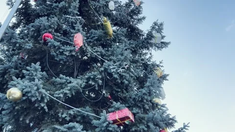 Vertical Camera Move Along Decorated Christmas Tree with Ornaments 스톡 동영상 313848261