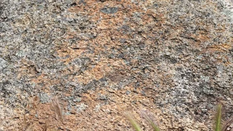 Vertical Camera Movement Revealing Granite Texture in Guadarrama National Park Stock Footage 336666404