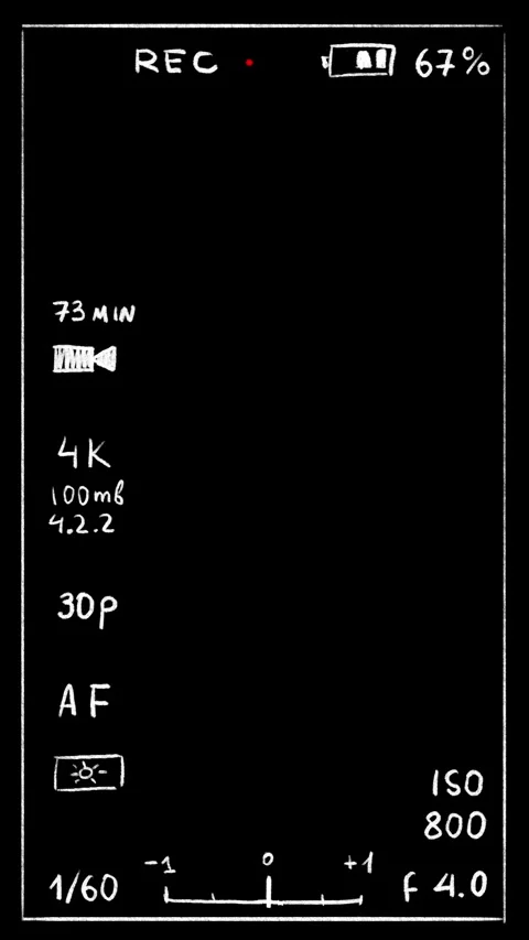 Vertical Camera recording interface screen for overlay. Fully Hand drawn Stock Footage 340906140