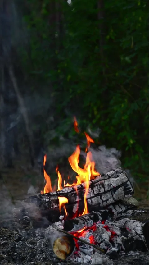 Vertical campfire burning brightly in the forest with smoke close up Stock Footage 345121789