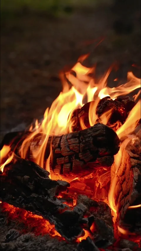 Vertical Campfire Burning with Glowing Embers in Forest Loop Stock-Footage 344031053