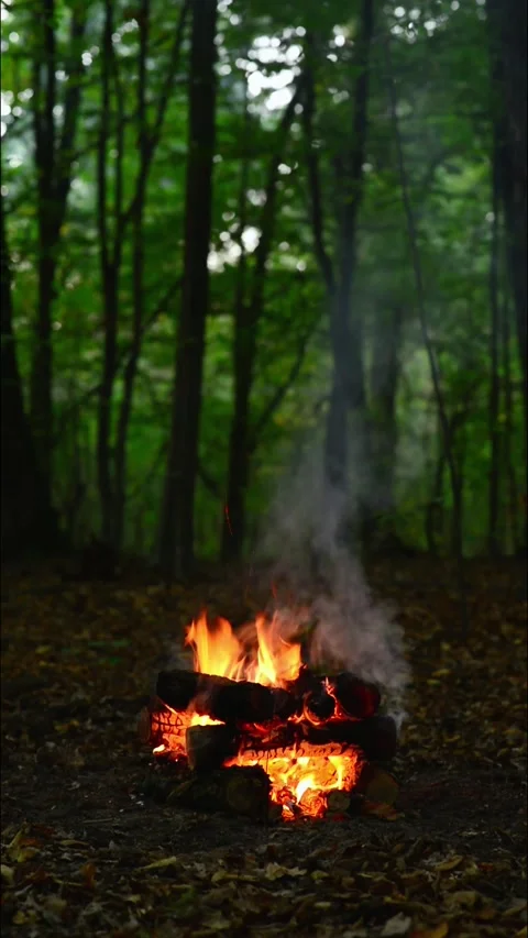 Vertical campfire burning with thick white smoke in deep forest flame Stock Footage 345716521