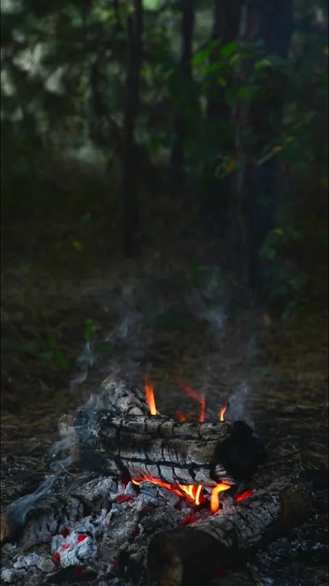 Vertical campfire closeup burning logs with gentle flames and soft smoke Stockbeeldmateriaal 345121664