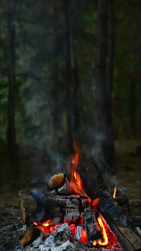 Vertical campfire closeup burning logs with glowing embers and warm fire Stock Footage 345121730