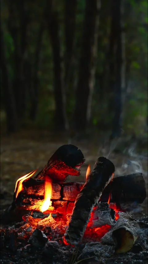 Vertical campfire closeup burning logs with warm glowing embers and fire Stock Footage 345121732