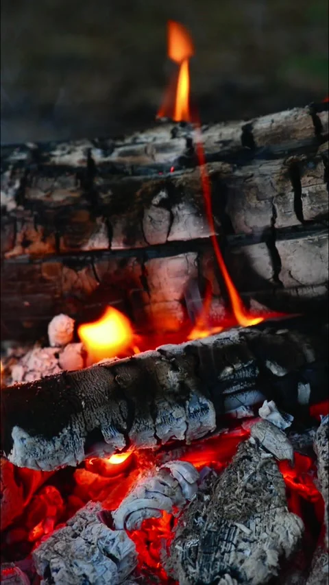 Vertical campfire closeup burning logs with bright flames and hot embers Stock Footage 345121758
