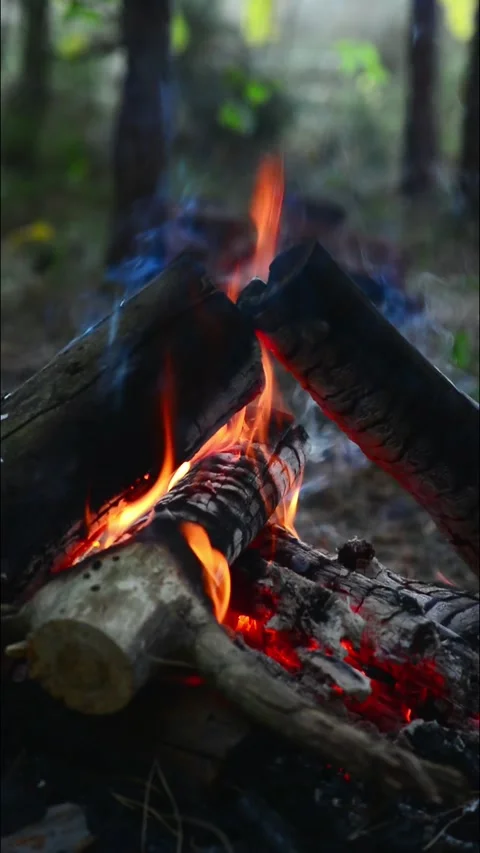 Vertical campfire closeup burning logs with glowing embers and warm light 動画素材 345121788