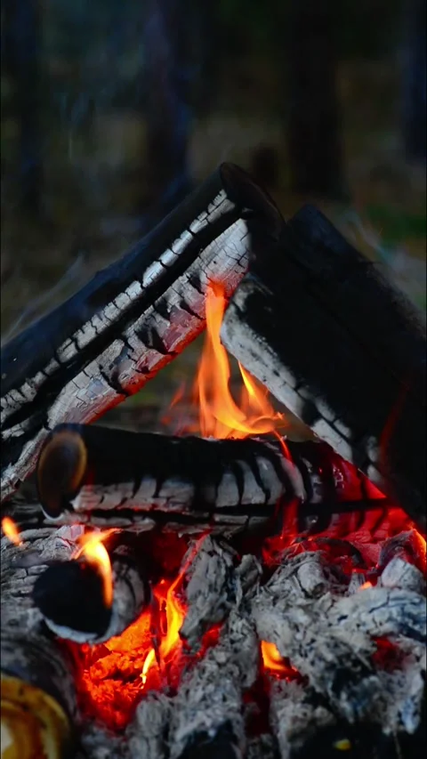 Vertical campfire closeup burning logs with glowing embers and flames Stock Footage 345121816
