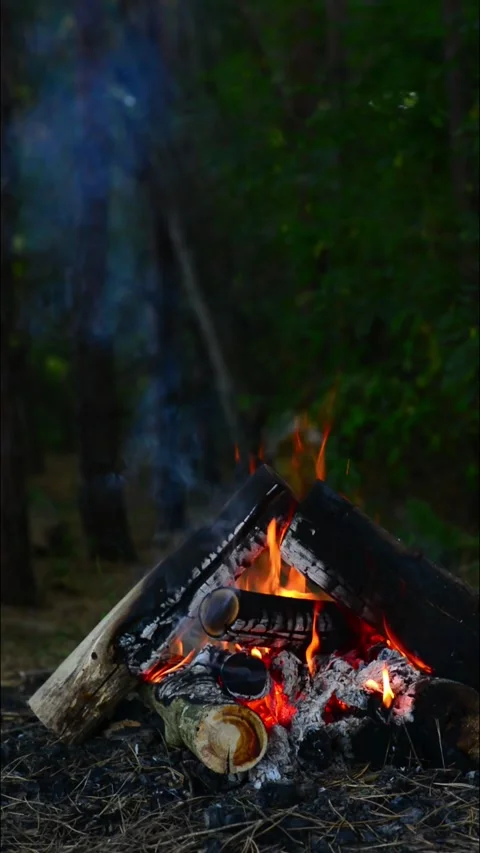 Vertical campfire closeup burning wood with warm glowing embers and fire 動画素材 345121682