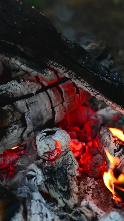 Vertical campfire closeup glowing embers and hot coals macro shot 库存影片 345121747