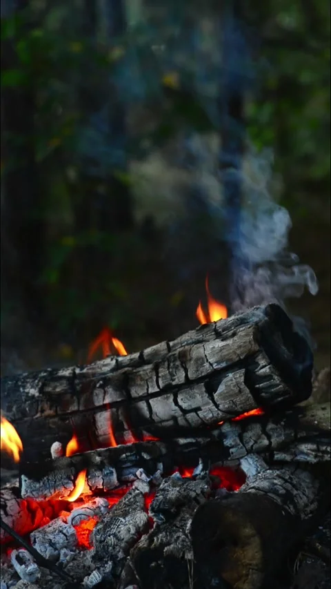 Vertical campfire closeup smoldering logs with rising smoke and warm fire Stock Footage 345121731