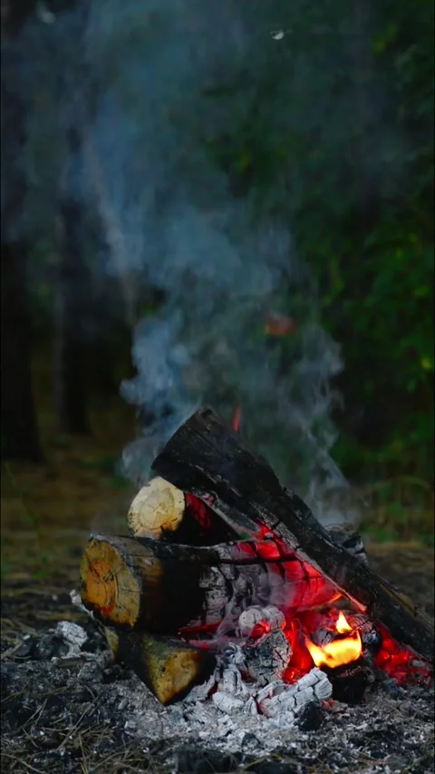 Vertical campfire closeup smoldering logs with glowing embers and ash Stock Footage 345121780