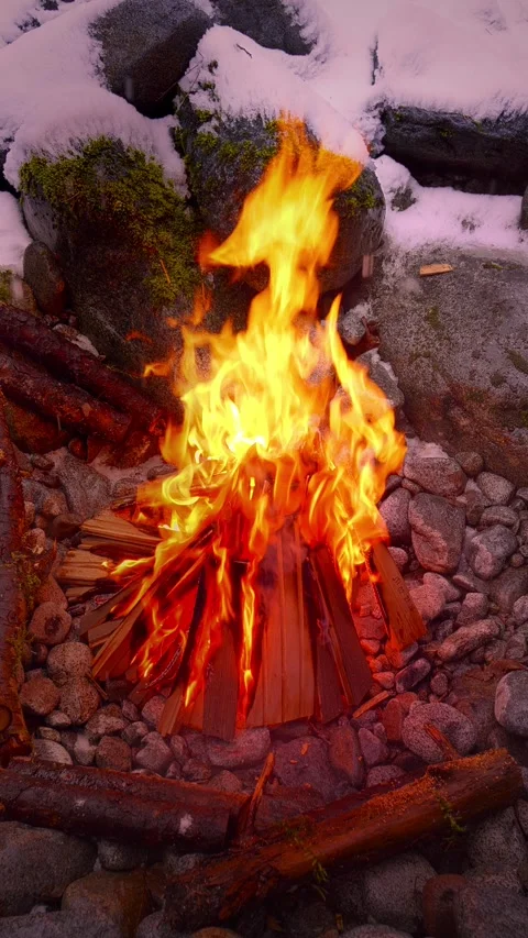 Vertical Campfire Flames in Forest at Night Stock Footage 308409635