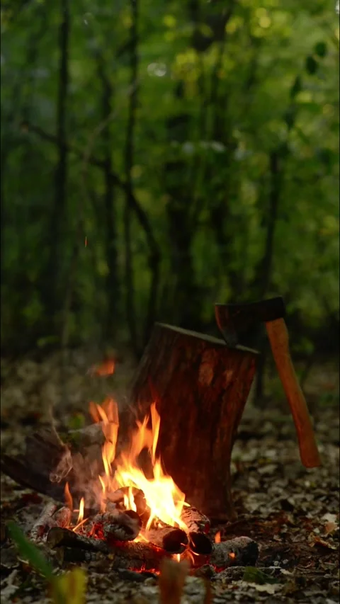 Vertical Campfire with Wood Stump and Axe Loop 動画素材 343607812